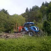 lavori forestali (14)